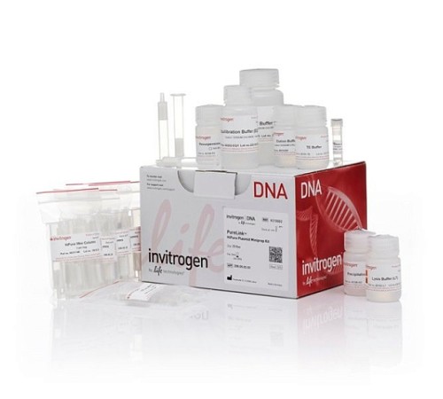 Набор PureLink HiPure Plasmid Miniprep Kit, Thermo FS Набор PureLink HiPure Plasmid Miniprep Kit, Thermo FS