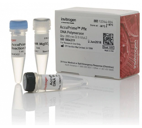 ДНК-полимераза AccuPrime Pfx DNA Polymerase, Thermo FS